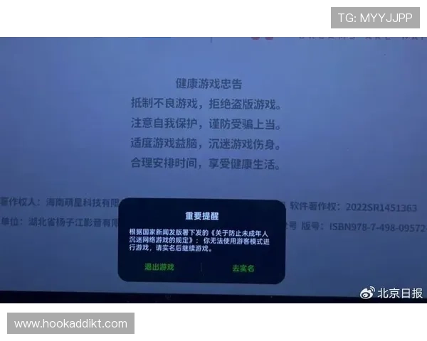 Ag娱乐旗舰游戏厅的安全保障措施与隐私保护策略全面解读，保障玩家权益